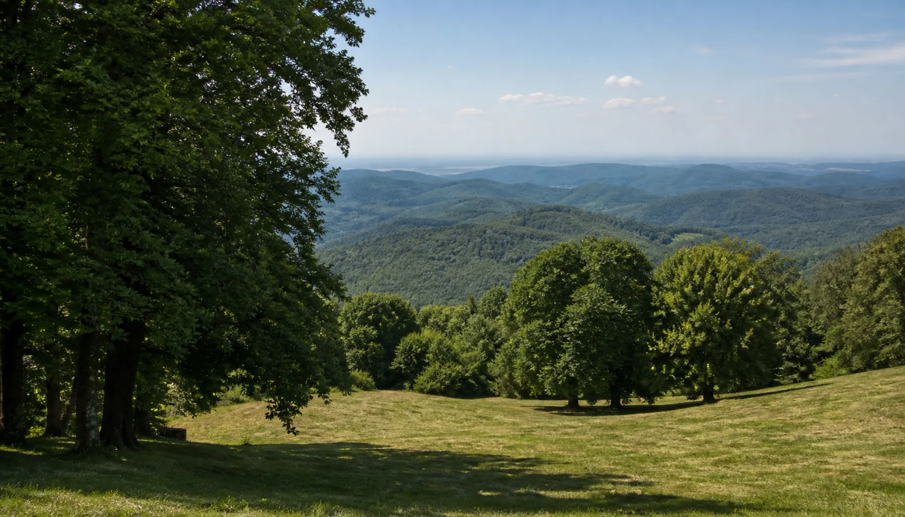 The park terrace, looking south over the Novohrad ridges toward the border