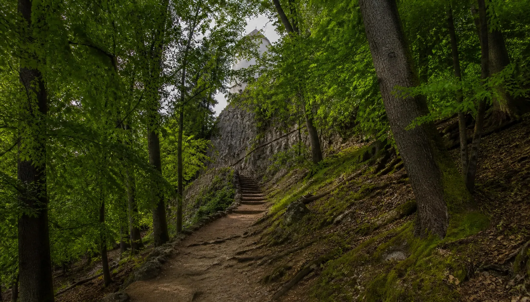 The marked path up from Podhradie, climbing through mixed woodland to the castle