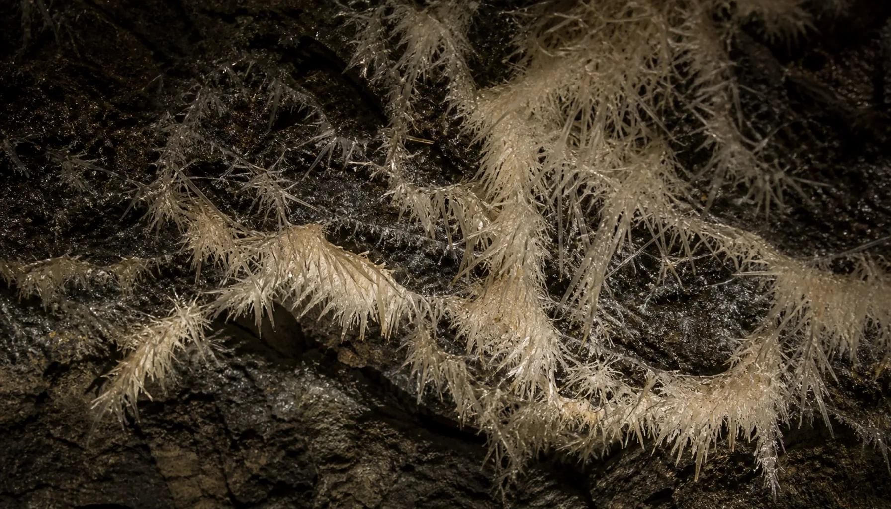 Needle-fine aragonite crystal clusters lining a chamber of the Ochtinská Aragonite Cave
