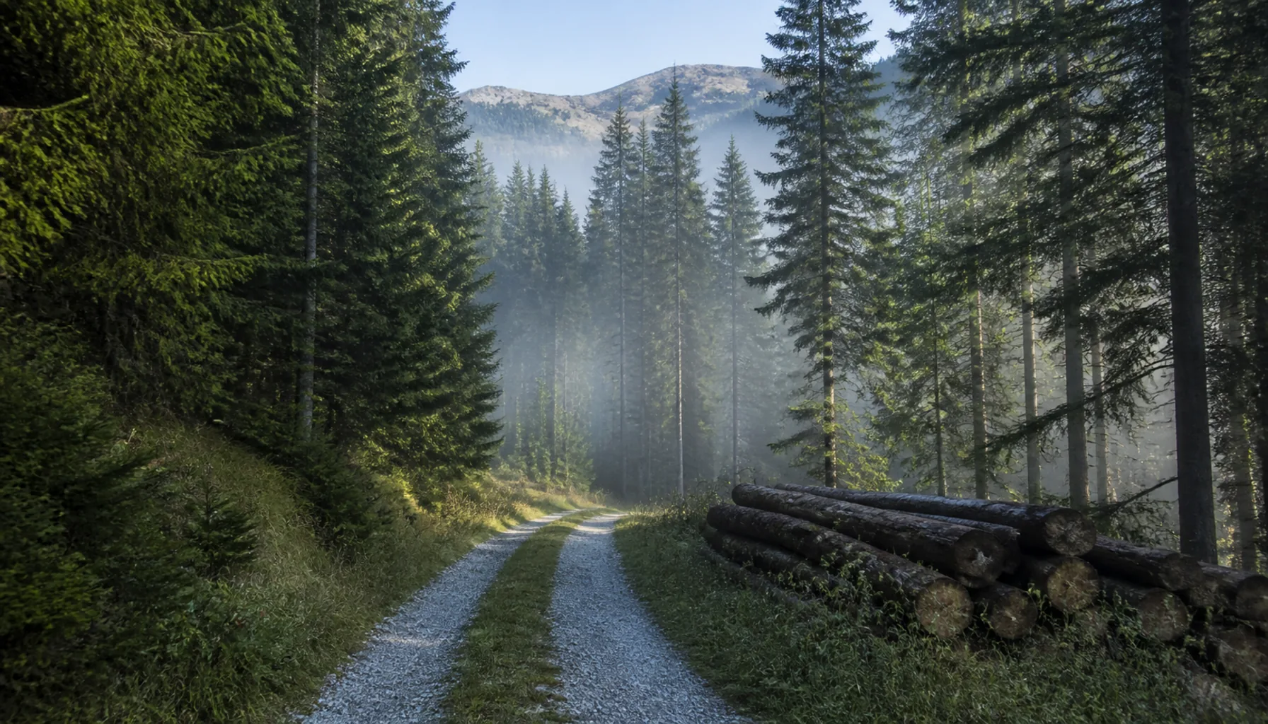Mountain Biking