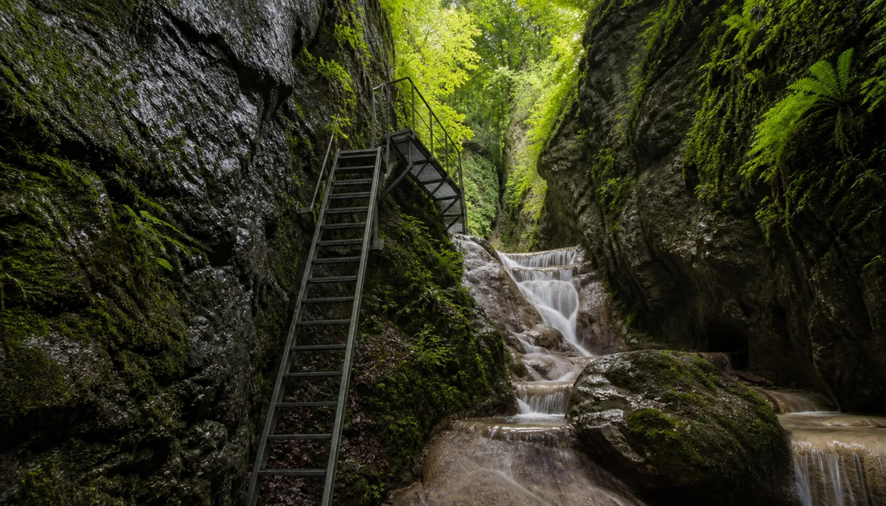 The Gorges of Slovenský raj