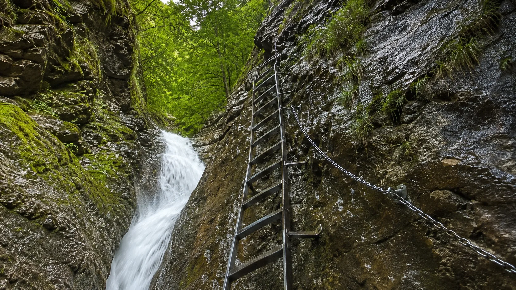 A ladder route beside a waterfall in Slovenský raj