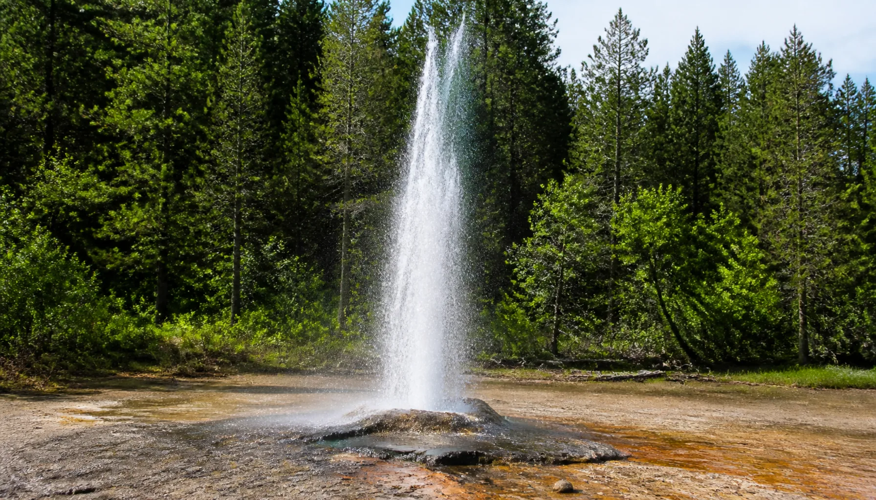 The cold-water geyser at Herľany, erupting on its own patient schedule