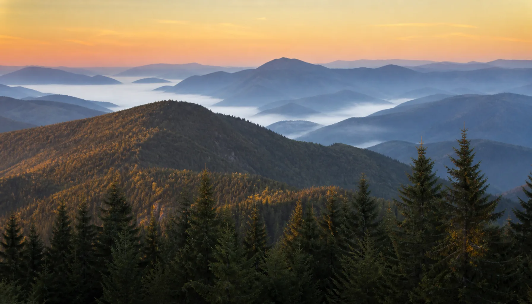 Layered ridges of the Carpathians receding into haze
