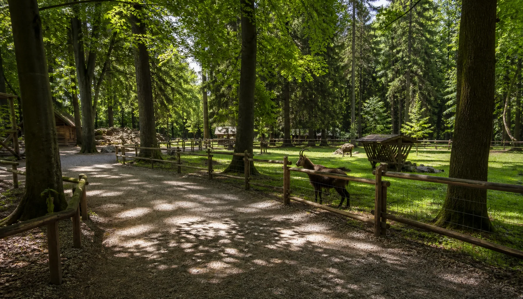 Madaras Park on the edge of the town — the wooded recreation ground that gave the shopping centre its name, with the town's small zoo inside it