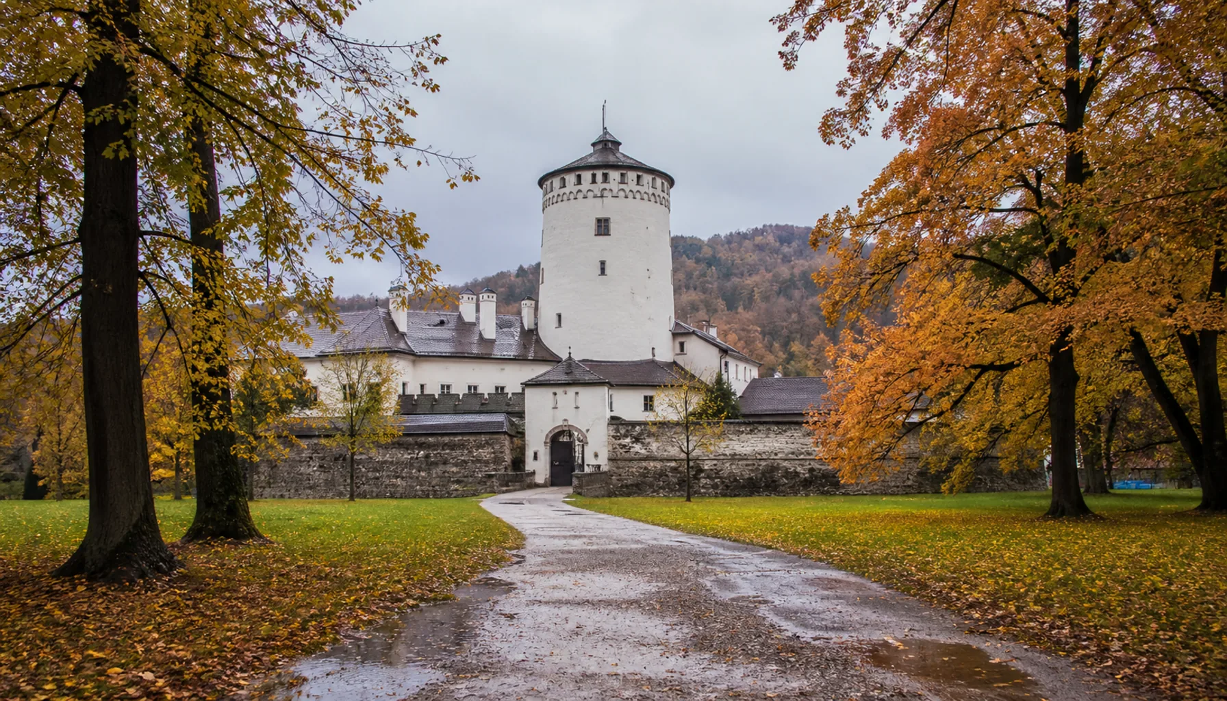 The Regional Museums