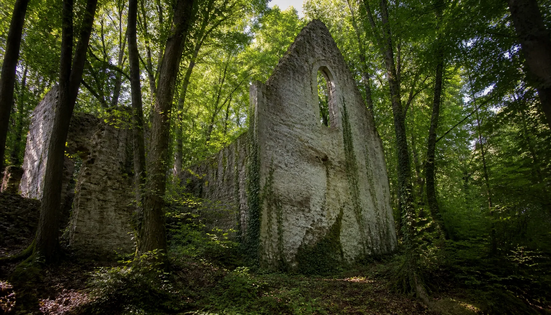 Roofless monastery walls standing in the woods on the slope of Zobor