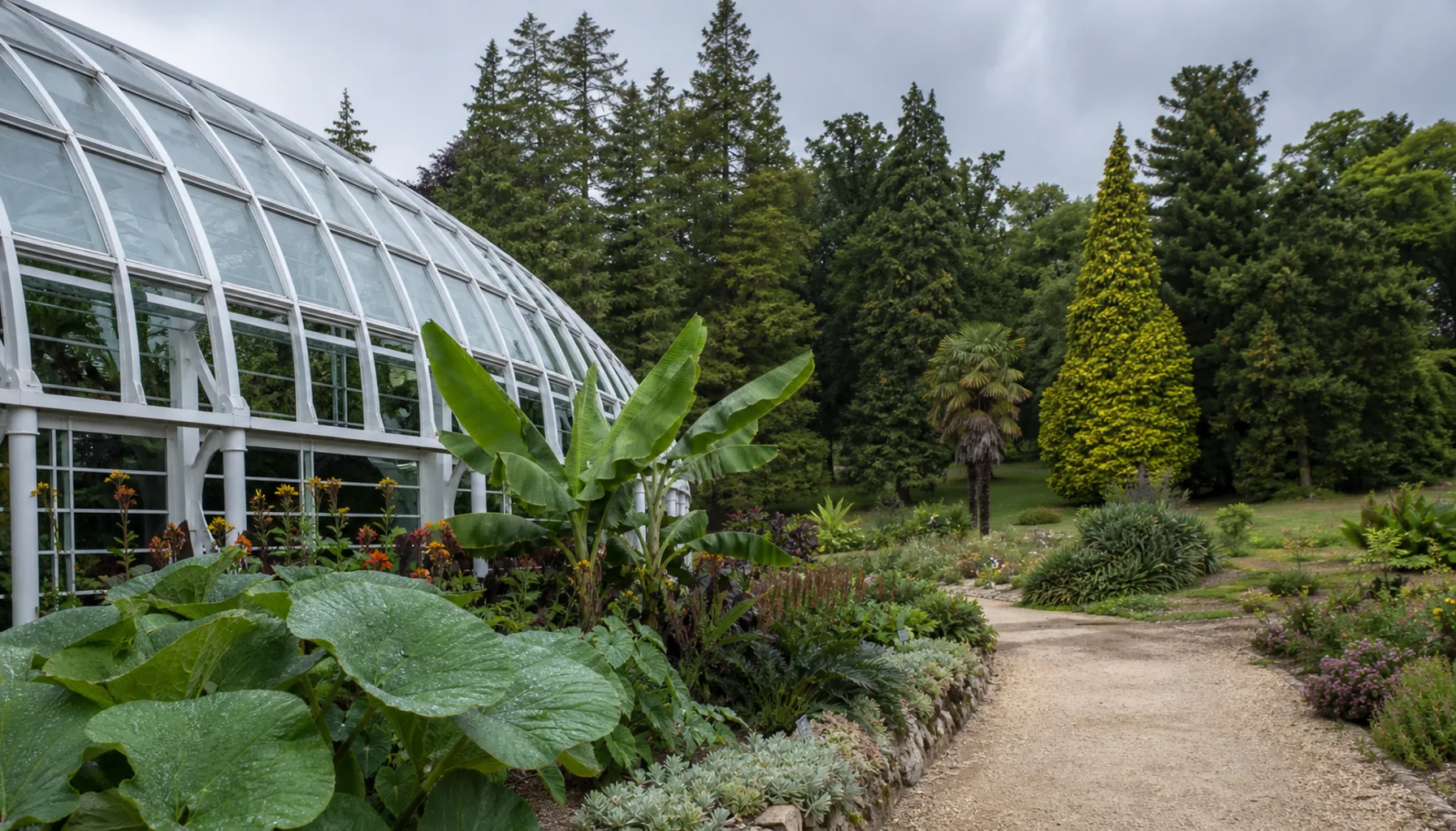 Glasshouse and beds in the university's botanical garden, behind the teaching blocks