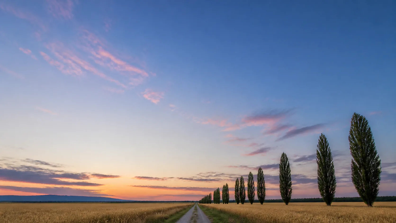 Field roads on the Podunajská nížina, running flat towards the Danube