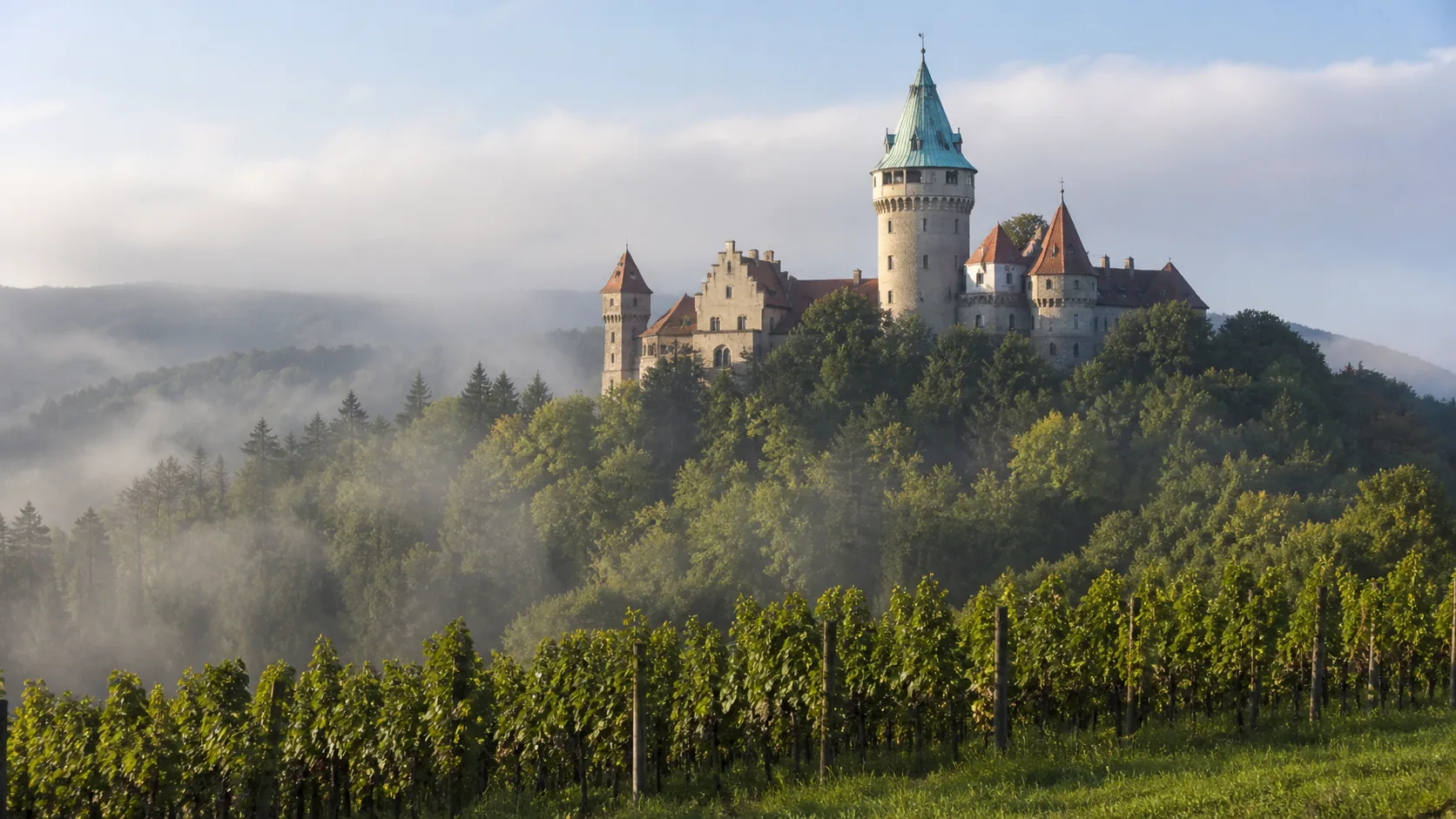 Smolenice Castle above the forest of the Little Carpathians — a congress centre today, best seen from the vineyards below