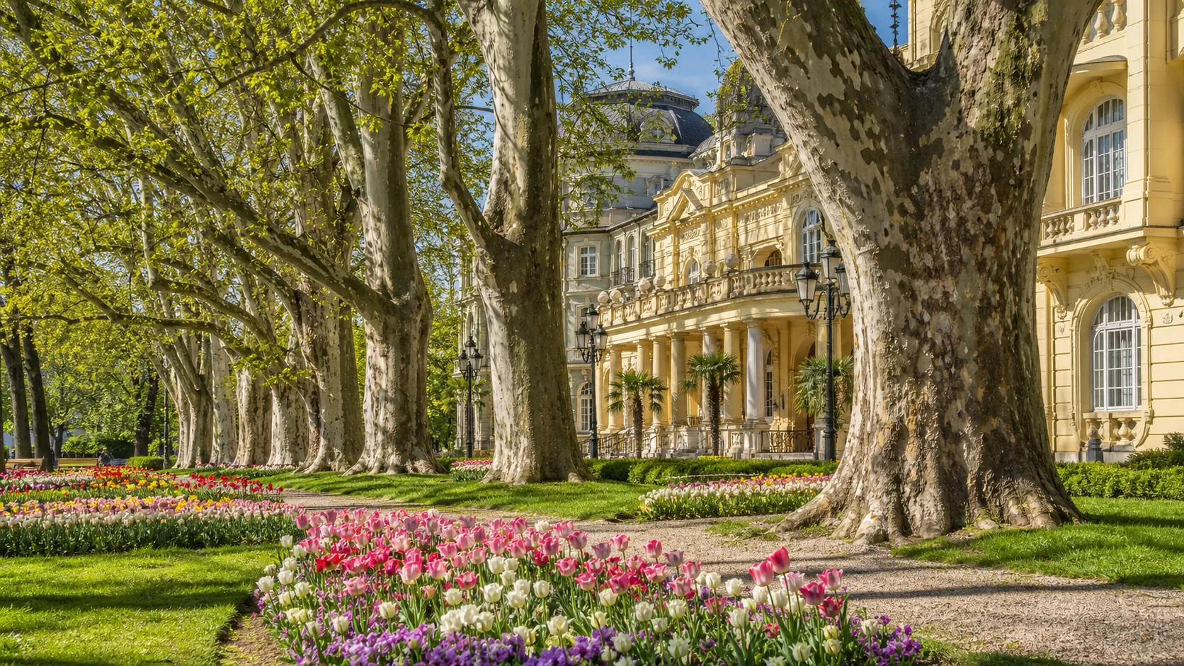 Spa houses and old trees in the park on Spa Island, with the Váh on either side