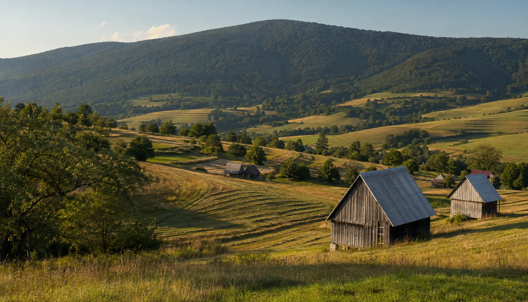 The lazy above Hriňová: single farmsteads and timber barns scattered along the ridges, with hand-cut hay meadows between them and Poľana behind
