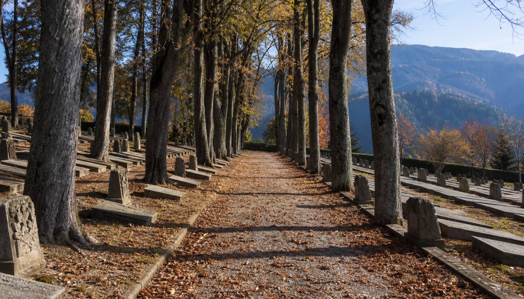 The tree-lined avenue of the National Cemetery in Martin