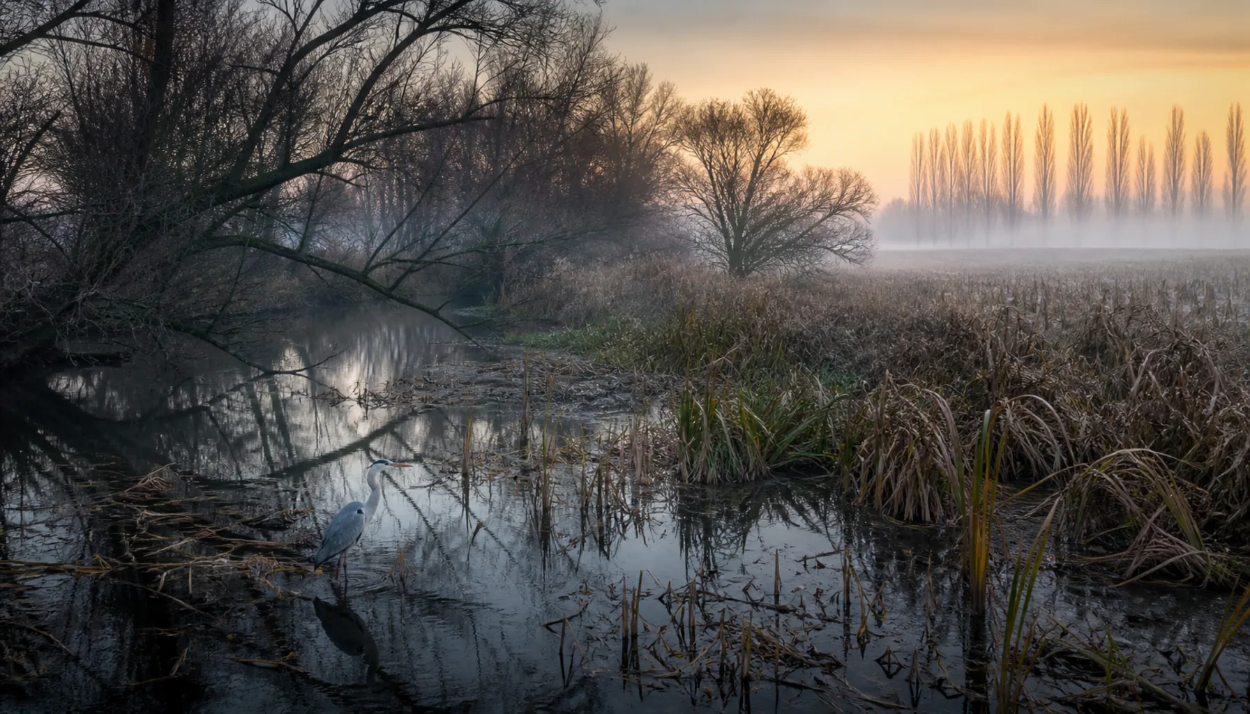 An old oxbow of the Nitra river in the wetlands outside Šurany, at sunrise in late autumn