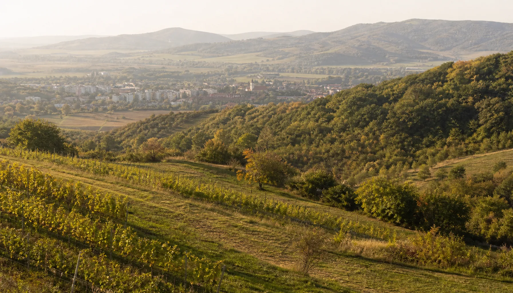 Veľký Krtíš